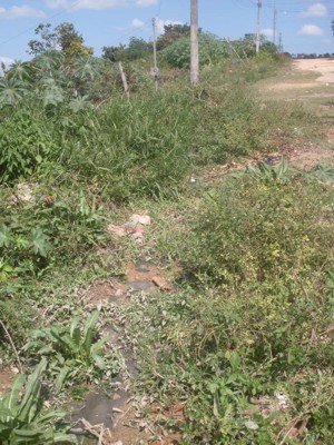 DIVINEWS COMUNIDADE: moradores do Bairro Del Rei reclamam da administração do município – “Eles parecem surdos, não escutam nossas reclamações - Só cuidam do centro” del rei